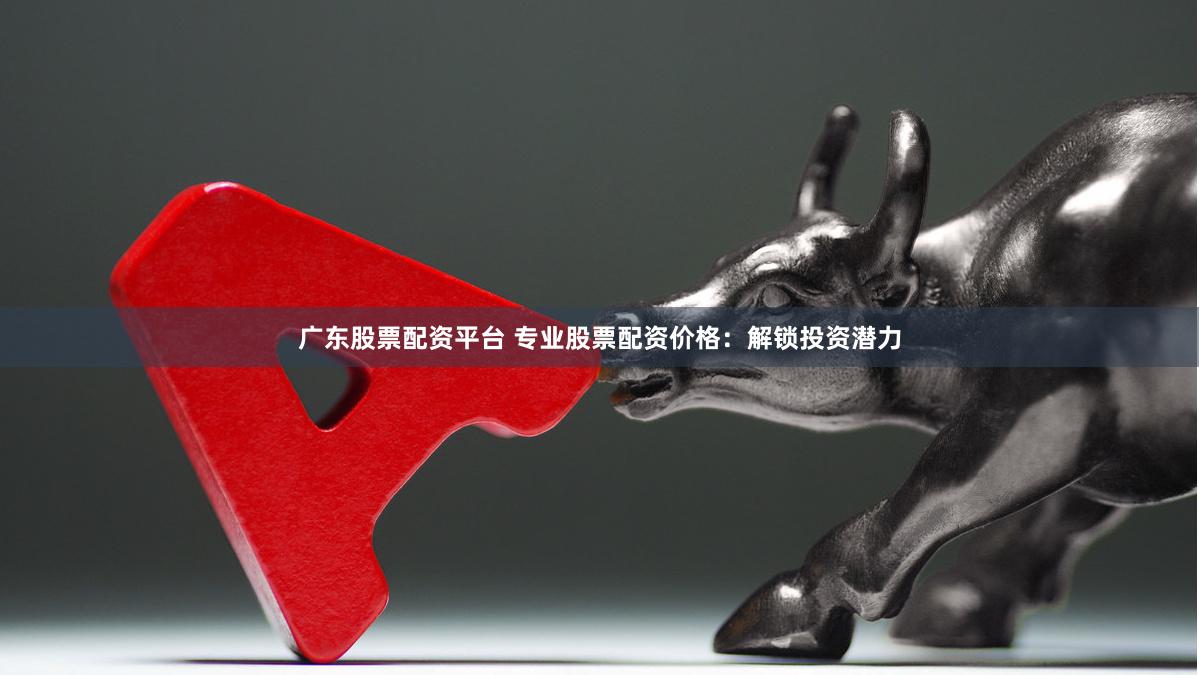 广东股票配资平台 专业股票配资价格：解锁投资潜力
